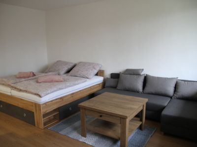 Obytná místnost v dvoulůžkovém bytě k pronájmu v Pardubicích